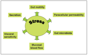 Stress impact graphic